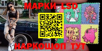 СК Ставрополь