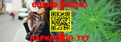 СК Ставрополь