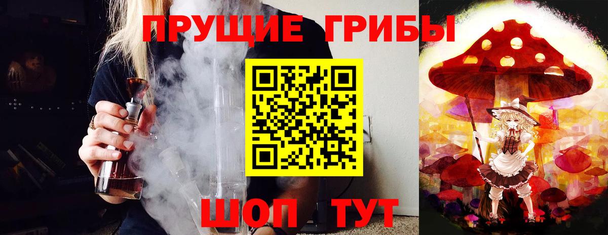 Галлюциногенные грибы Psilocybe  Вход с VPN  Галлюциногенные грибы прущие грибы  Нарткала 